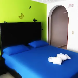 House Bed and breakfast